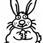 bunny