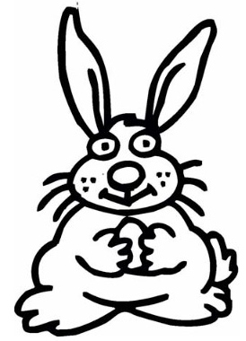 bunny