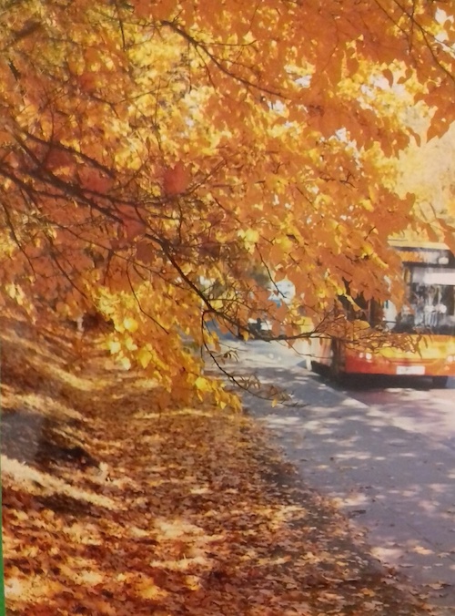 Konkurs_fot_brwinow_i_okolice2